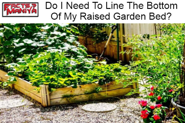 Need To Line The Bottom Of My Raised Garden Bed
