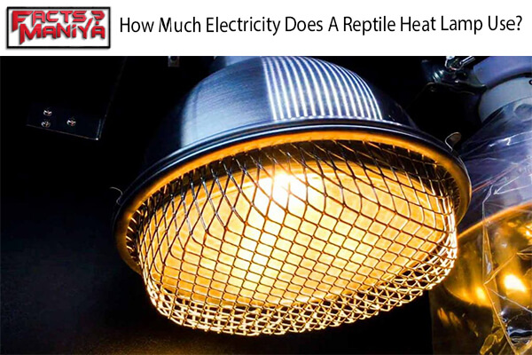 Electricity Does A Reptile Heat Lamp Use