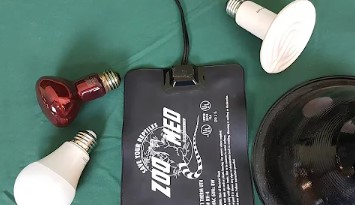 What Is The Main Benefit Of Using A Reptile Heat Lamp