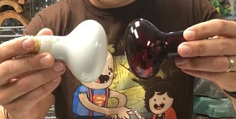 What Type Of Heat Lamp Should You Use