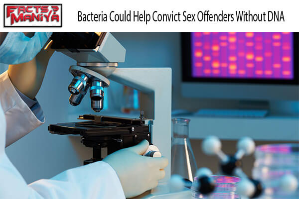 Bacteria Could Help Convict Sex Offenders Without DNA 1
