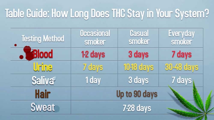 How Long Does 10mg Edible Stay in Your System Reddit